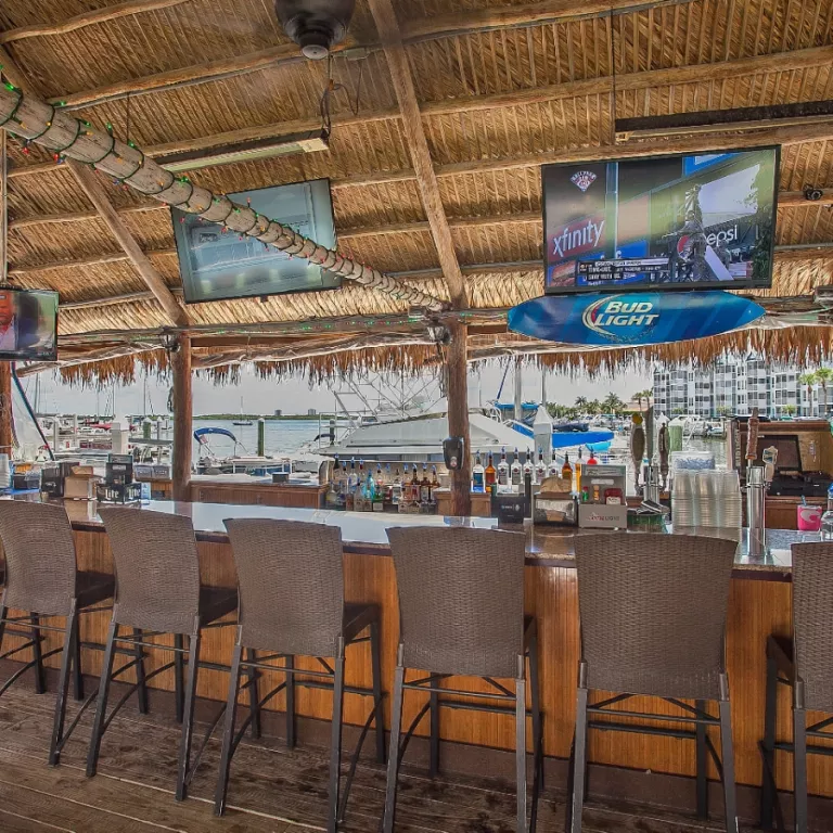 World Famous bayfront Dolphin Tiki Bar & Restaurant Photo 3