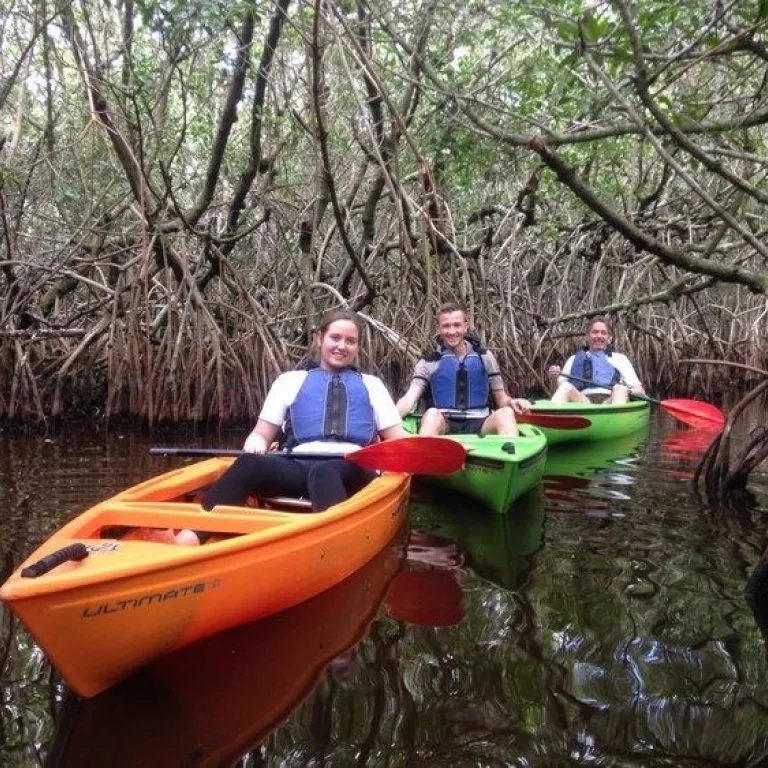 Fun in the mangrove tunnels Photo 6