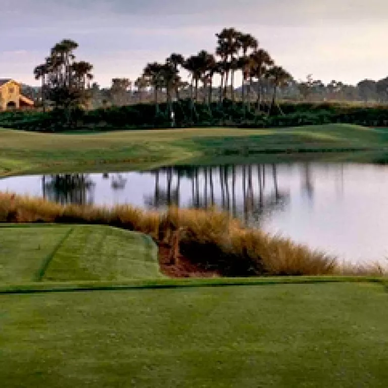 Fiddler #39 s Creek The Creek Course Paradise Coast Fiddler #39 s Creek The Creek Course Paradise Coast