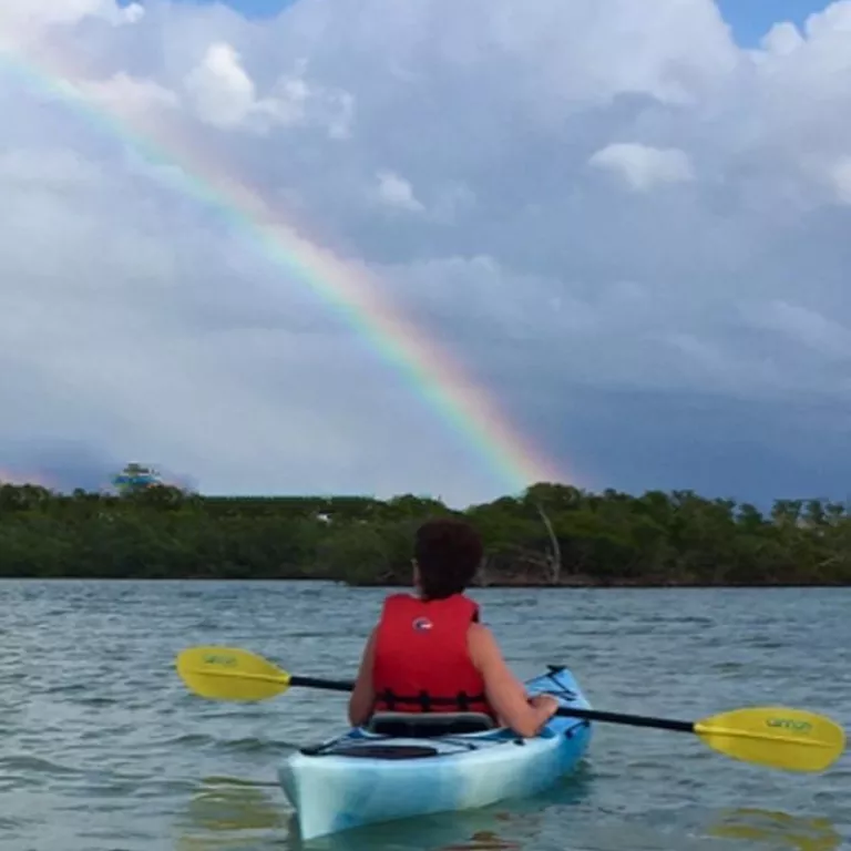 Paradise Coast Kayak Tours Photo