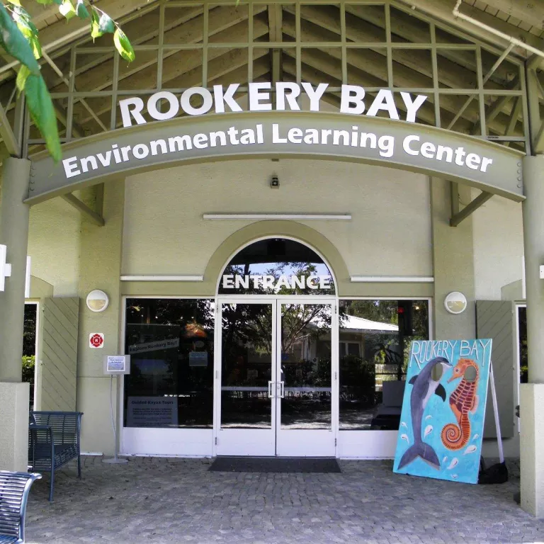 Rookery Bay Brush Strokes - Wildlife Watercolors Photo 2