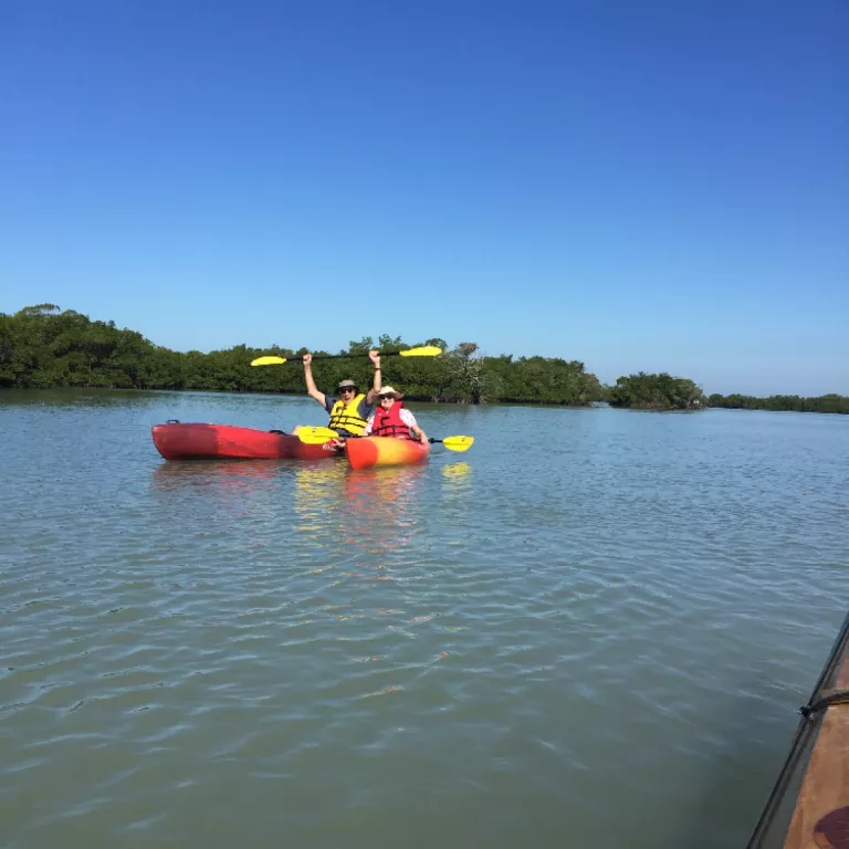 Paradise Coast Kayak Tours Photo 3