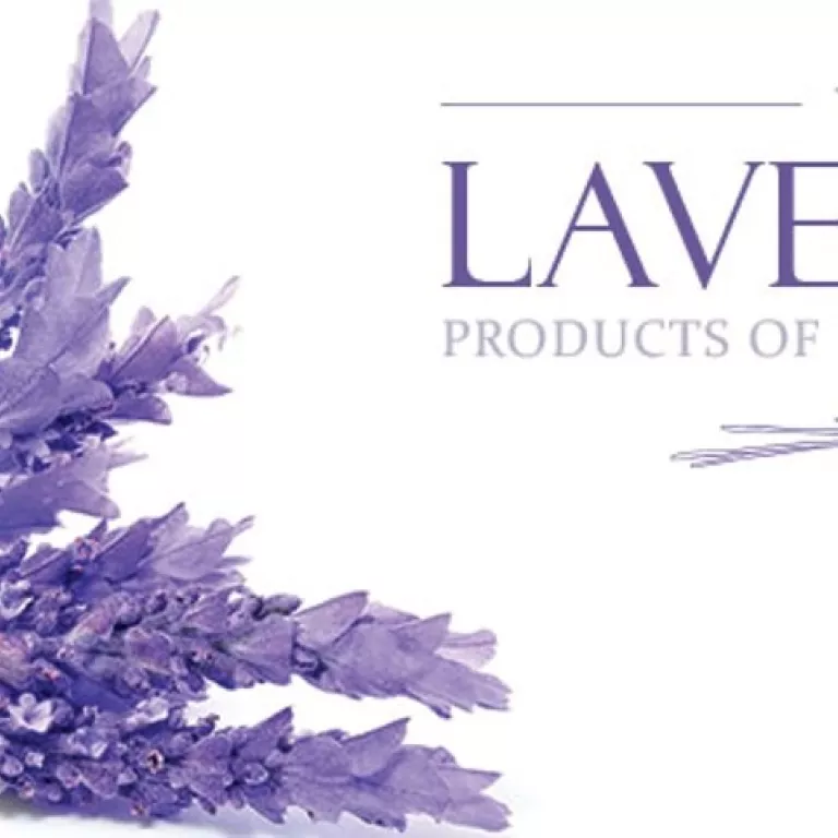 The Lavender Photo