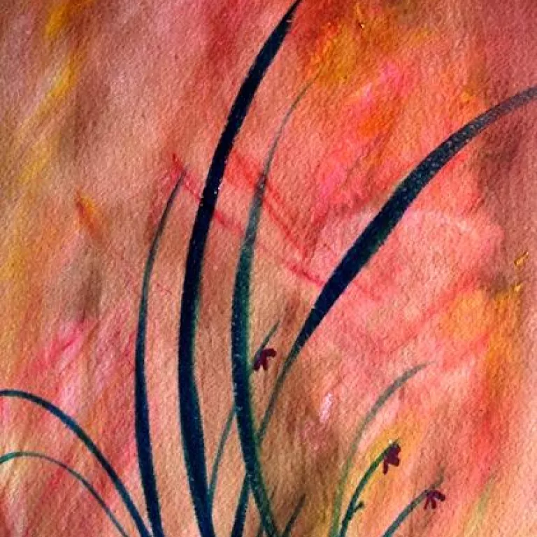 Rookery Bay Brush Strokes Photo 2