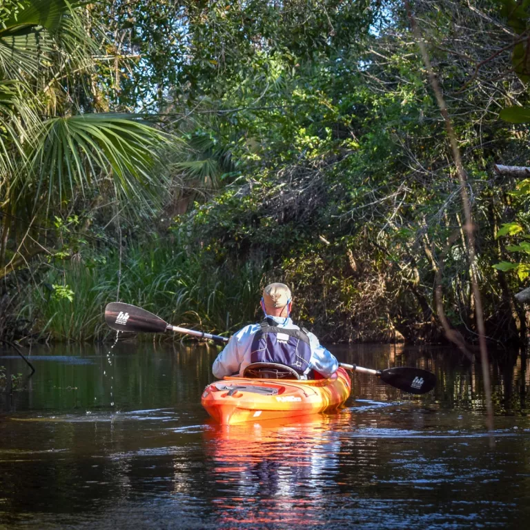 Guided Kayak Tour Photo 3