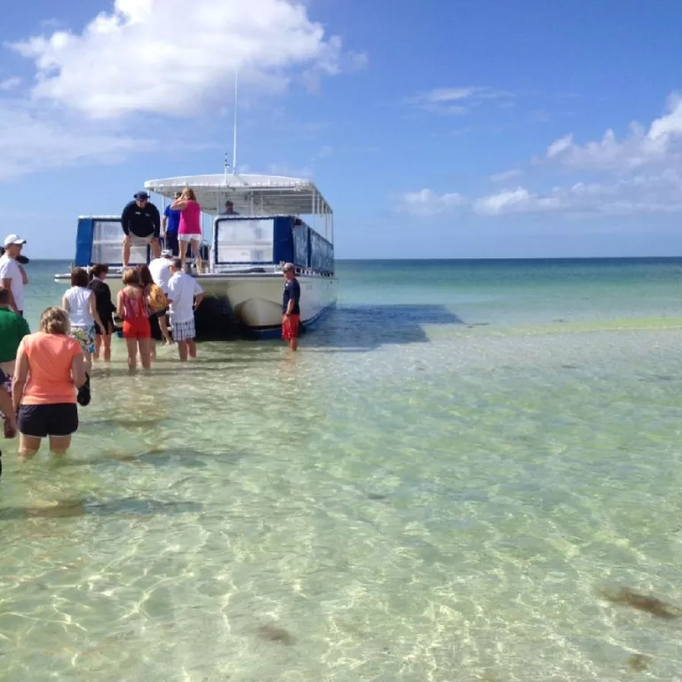 Calusa Spirit Dolphin Cruise Photo