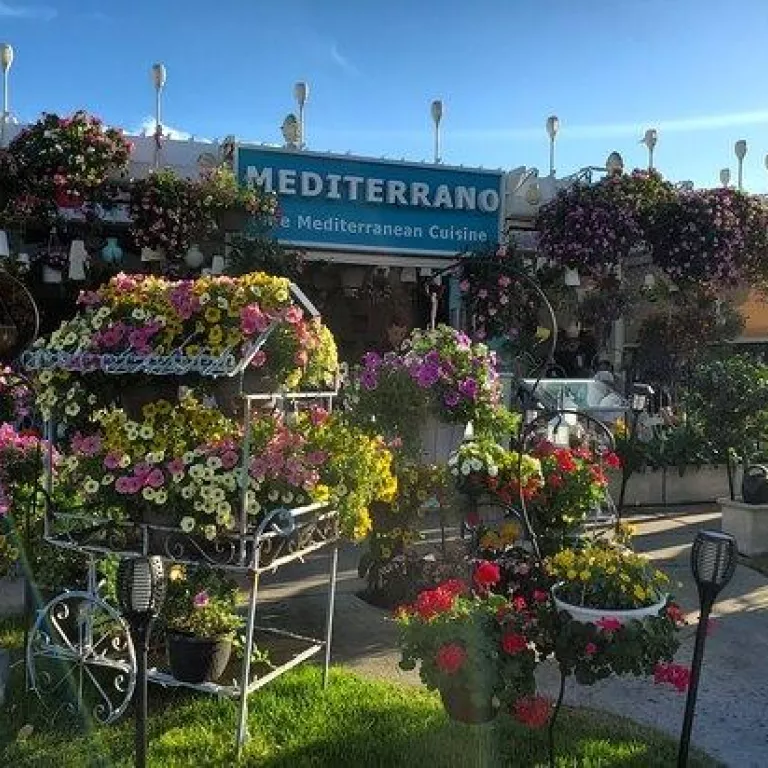 Mediterrano Photo