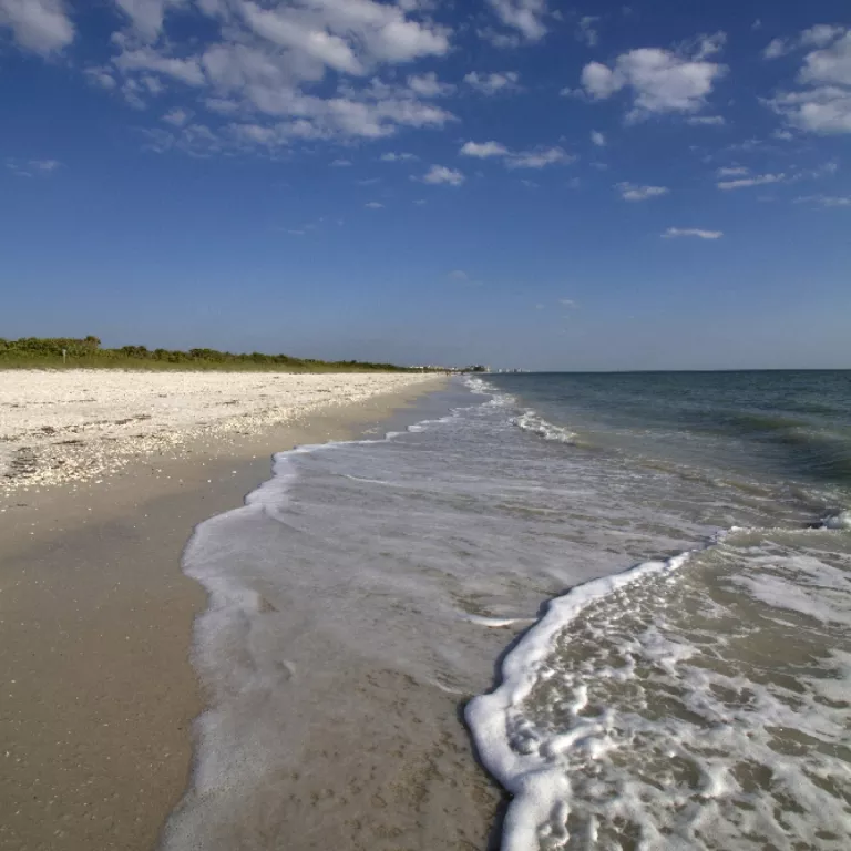 Barefoot Beach Preserve County Park Photo