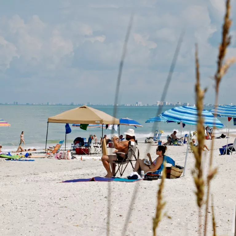 Barefoot Beach Preserve County Park Photo 4