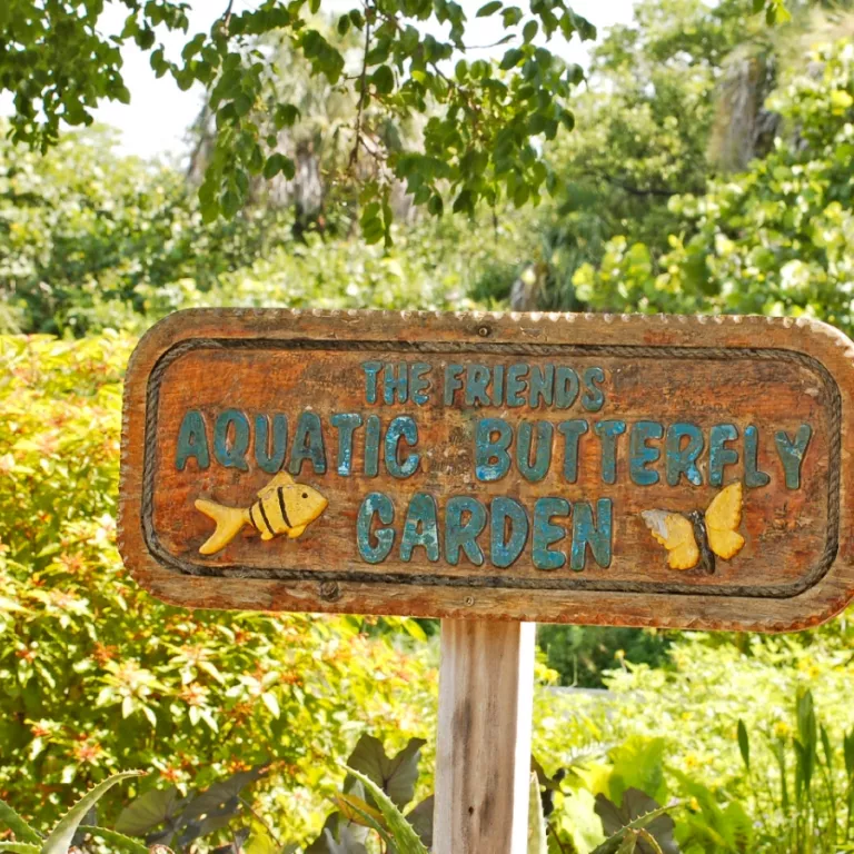 Barefoot Beach Preserve County Park Photo 3