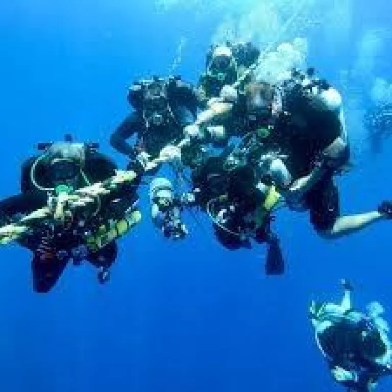 Scuba Outfitters of Naples Photo