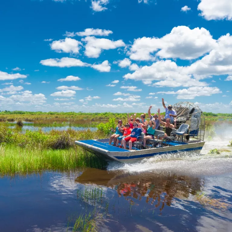 Wooten's Airboat Tour Photo 5