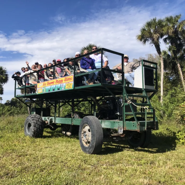 Swamp Buggy Photo 2