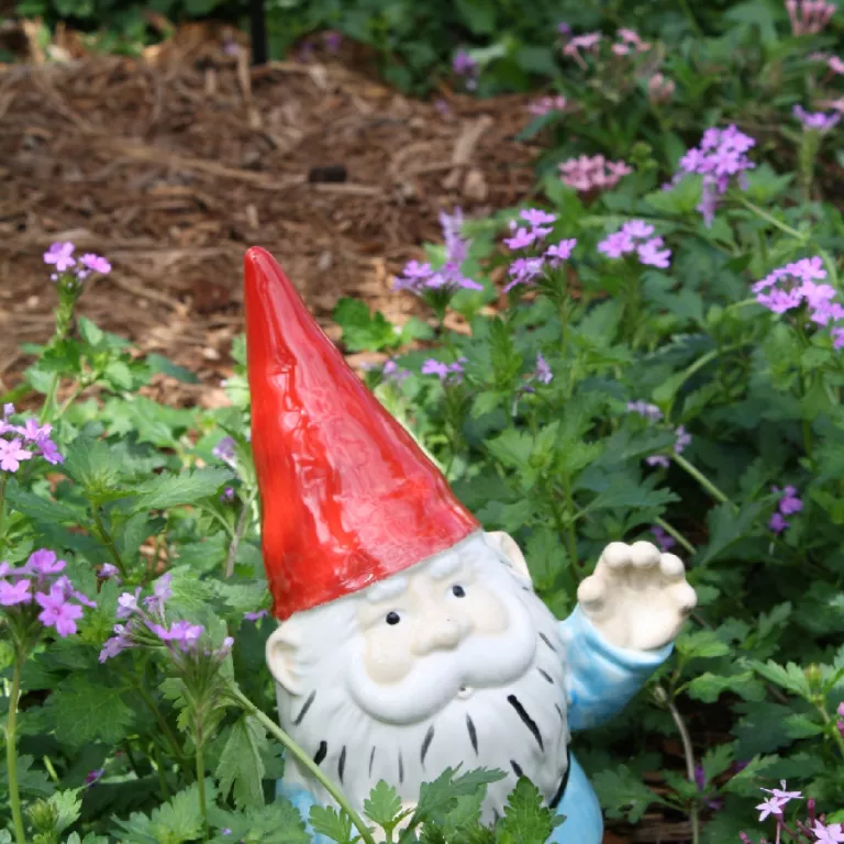 Gnomes in the Children's Garden - Fun Annual Event in February Photo 4
