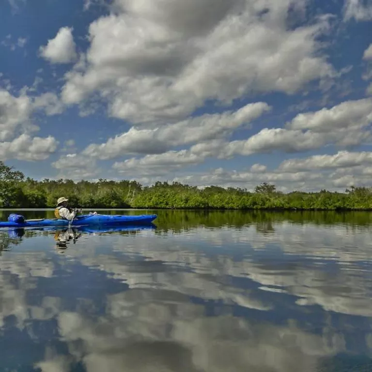 Paddle Exploration Photo