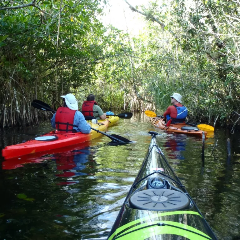 Naples Outfitters Photo