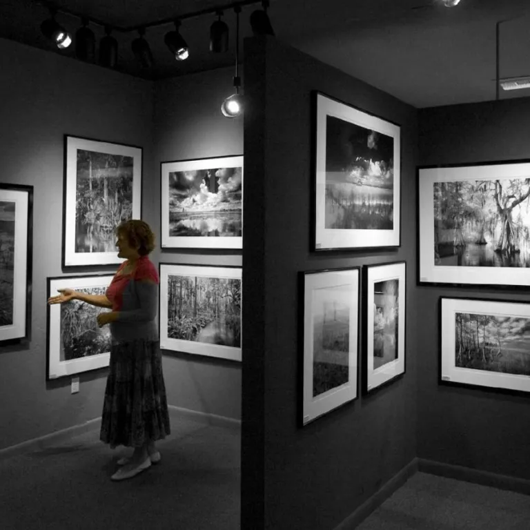Inside of gallery Photo 4