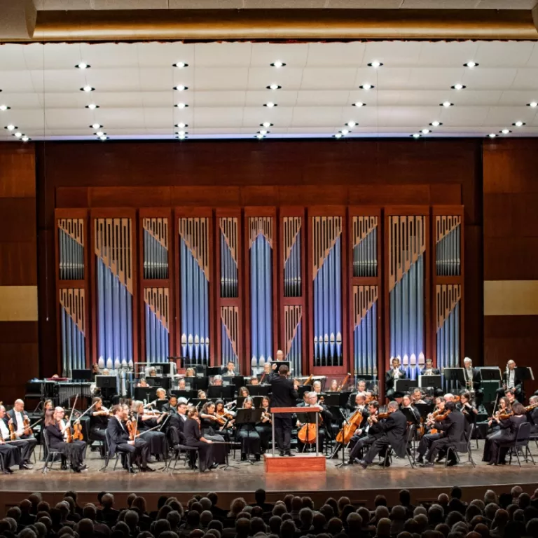 Naples Philharmonic Photo 4