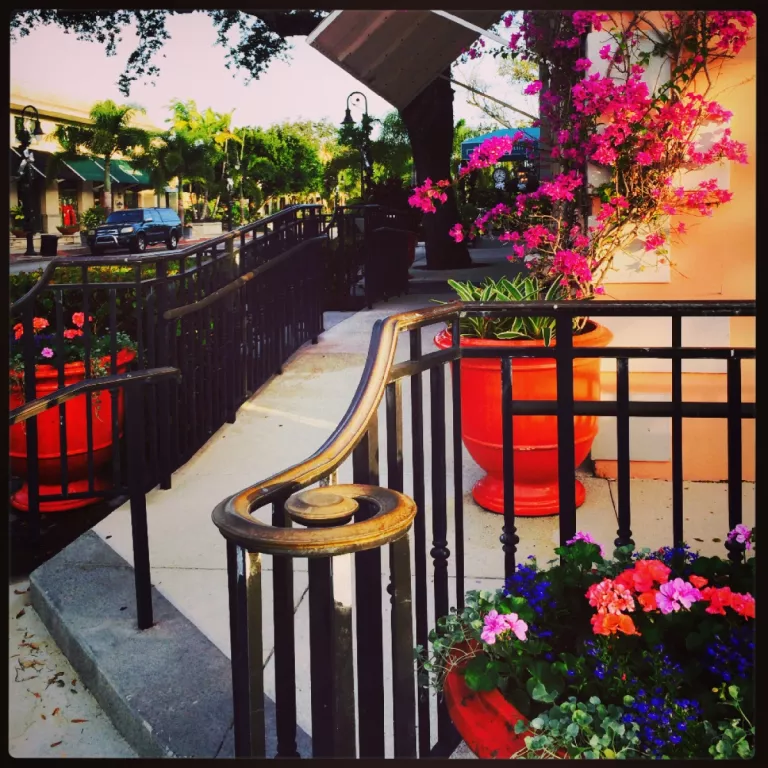 Flower Lined Byways Photo 4