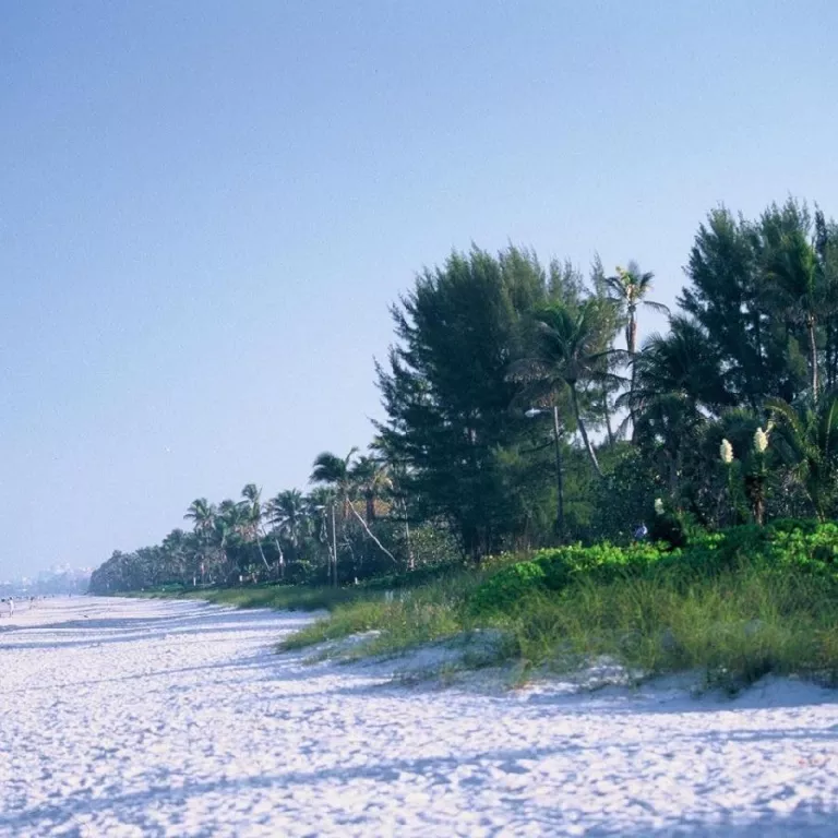 There are over 30 miles of soft, sandy beaches abound along Florida's Paradise Coast.  Photo by: Naples, Marco Island, Everglades CVB Photo 3