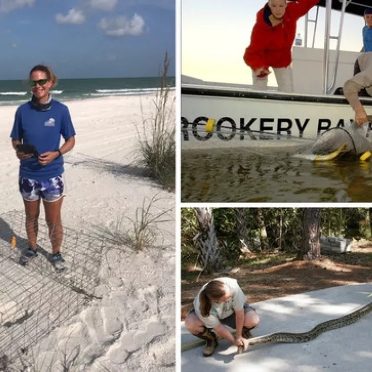 Lunch & Learn Lectures at Rookery Bay Photo 2