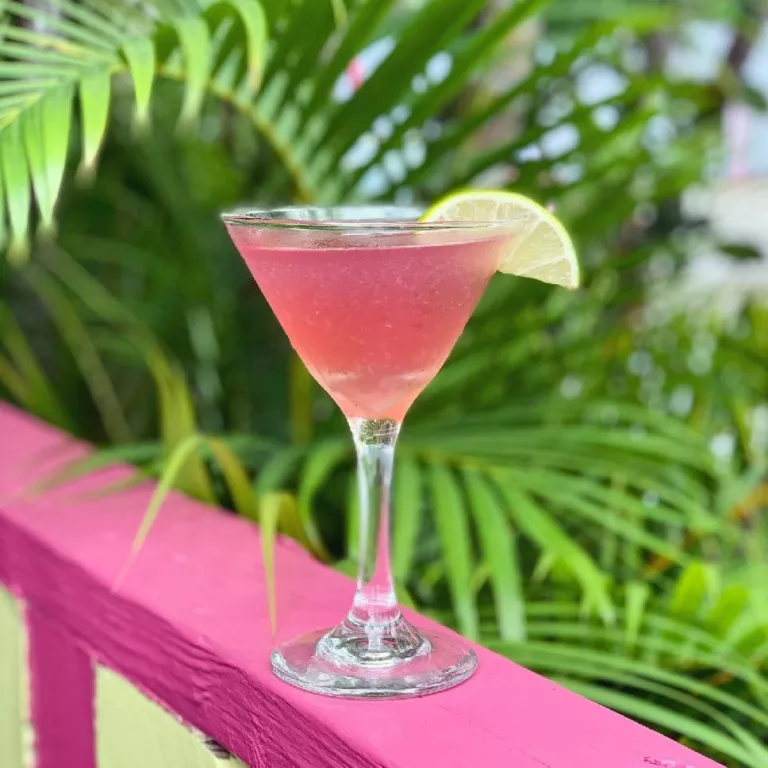 Happy Hour at the Real Macaw Photo