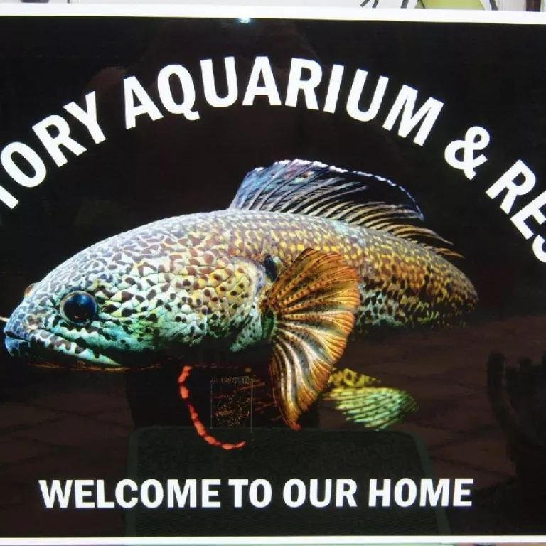 Fish Story Public Aquarium and Fish Rescue Attraction Photo