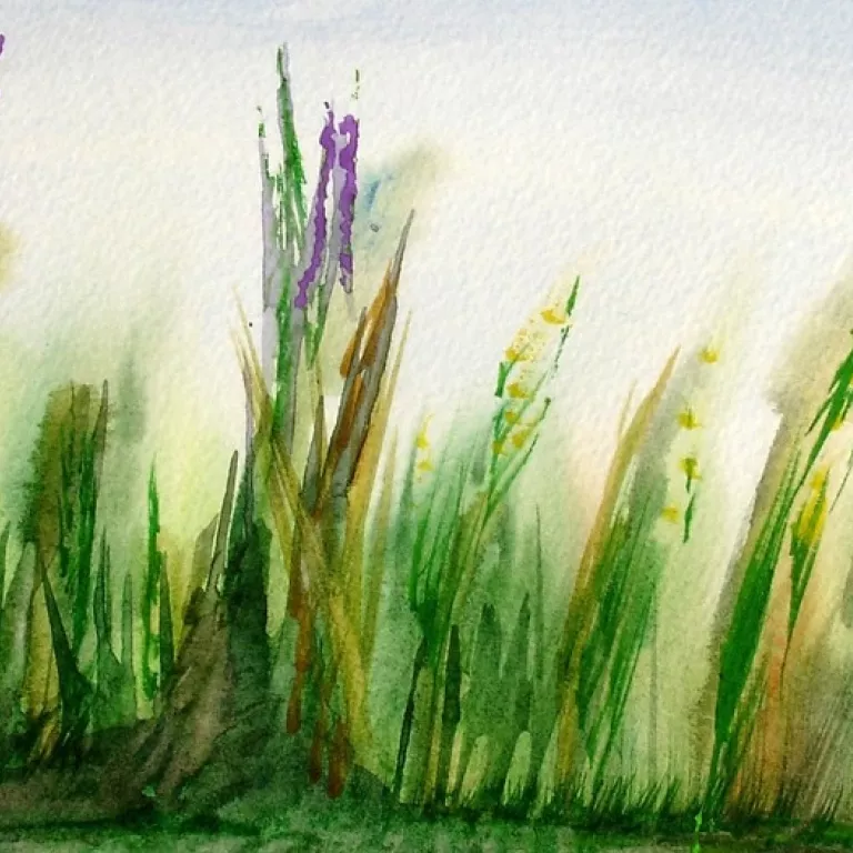 watercolors Rookery Photo