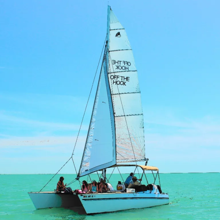 marco island boat tour Photo 2