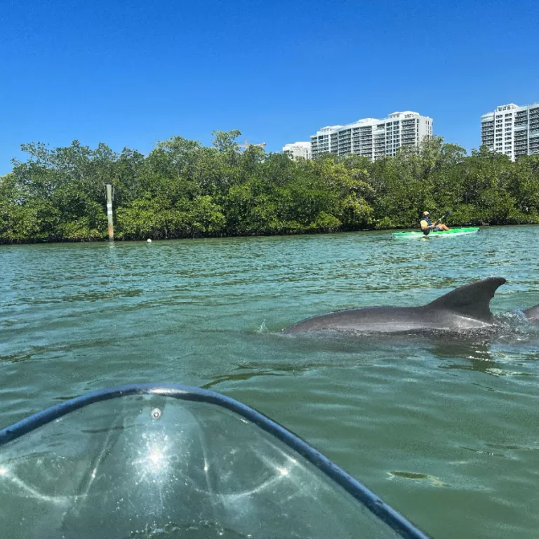 Get Up and Go Kayaking Photo