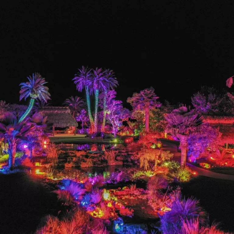 Johnsonville Night Lights in the Garden Photo