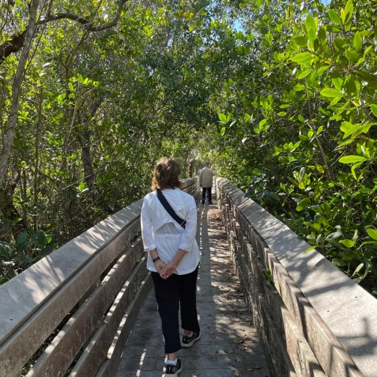 Rookery Bay Reserve offers forest bathing on the 1st Saturday of the month from October through April Photo