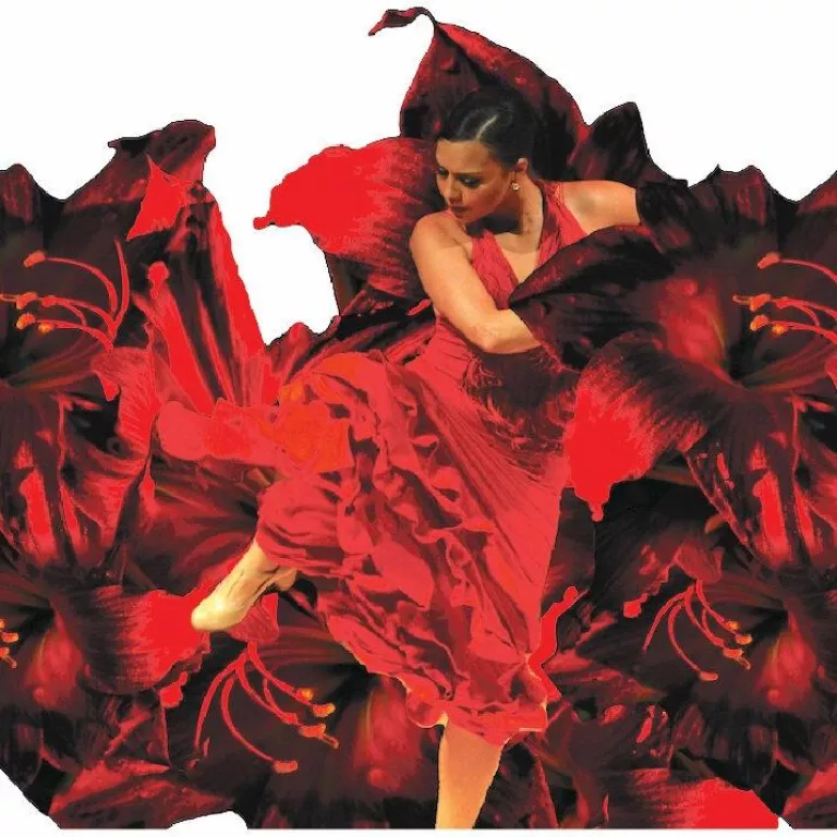 Zarzuela and Flamenco! Photo 3