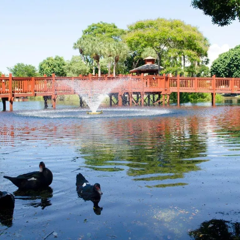 Fountain Photo