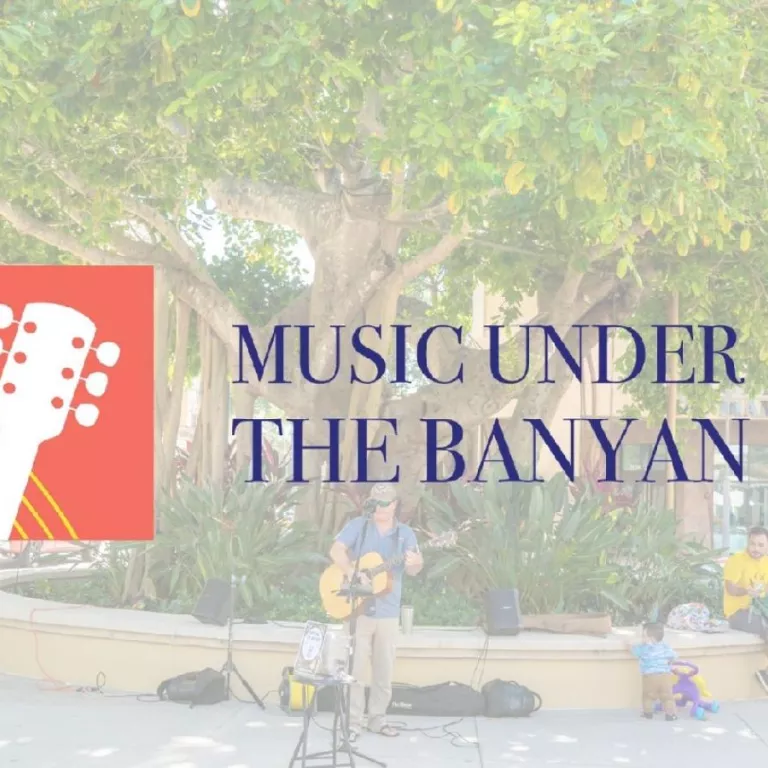 Music under the Banyan Photo