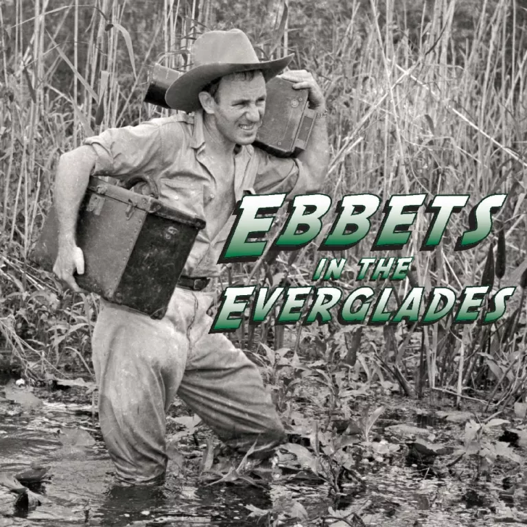 Charles Ebbets hauling a large camera through the everglades Photo