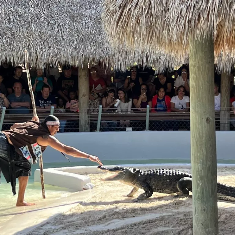 Miccosukee man demonstrating alligator wrestling Photo