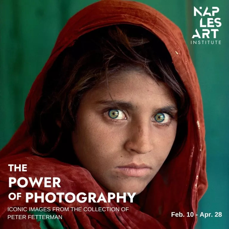 powerofphotography Photo