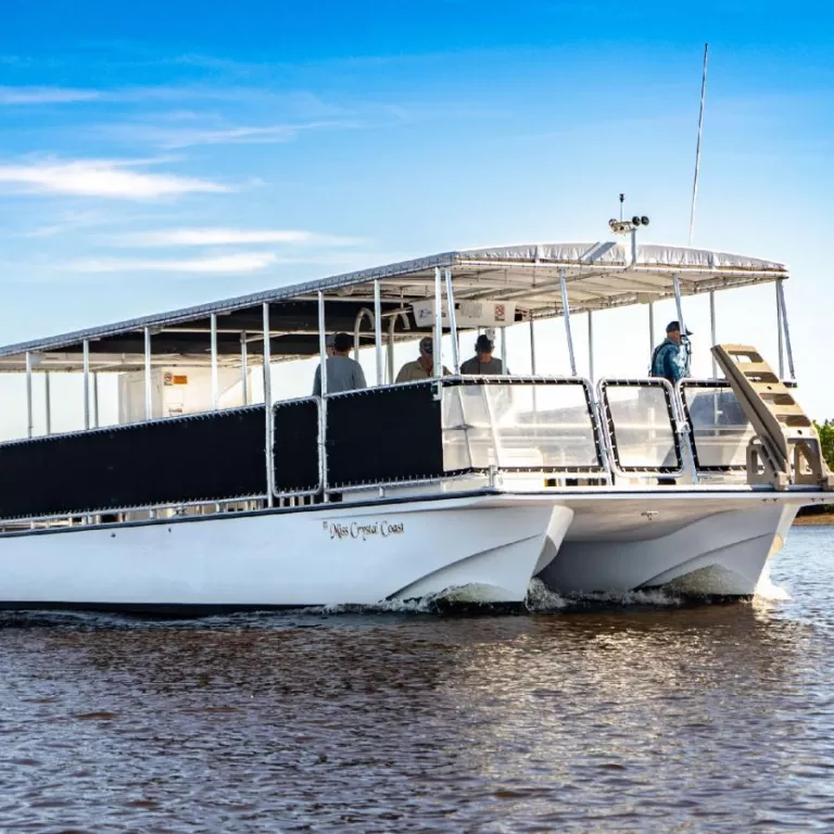 Everglades National Park Boat Tour Photo