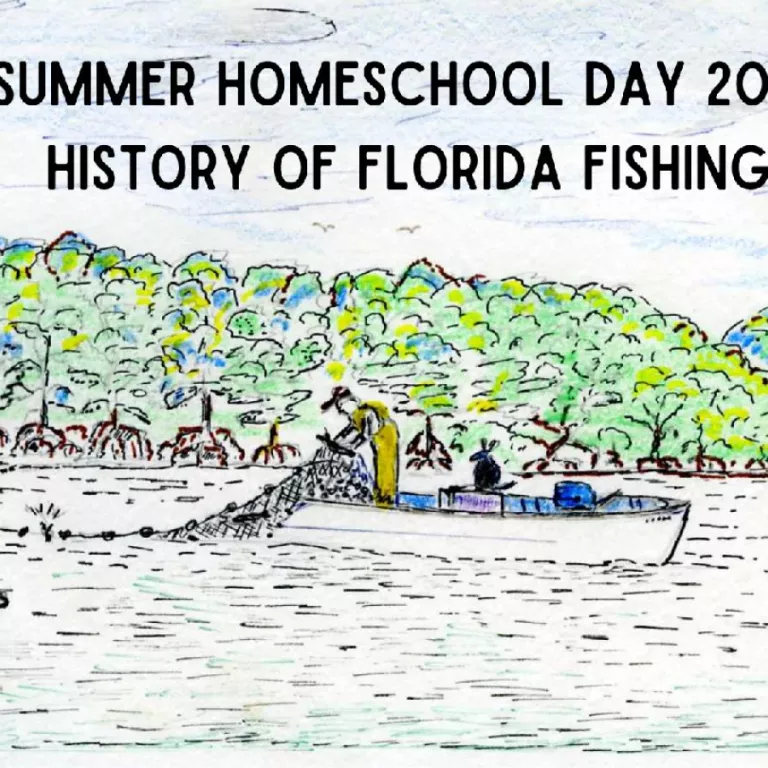 illustration of a fisherman pulling a large net into a boat Photo