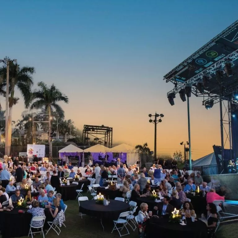 Festival Under the Stars Photo 2