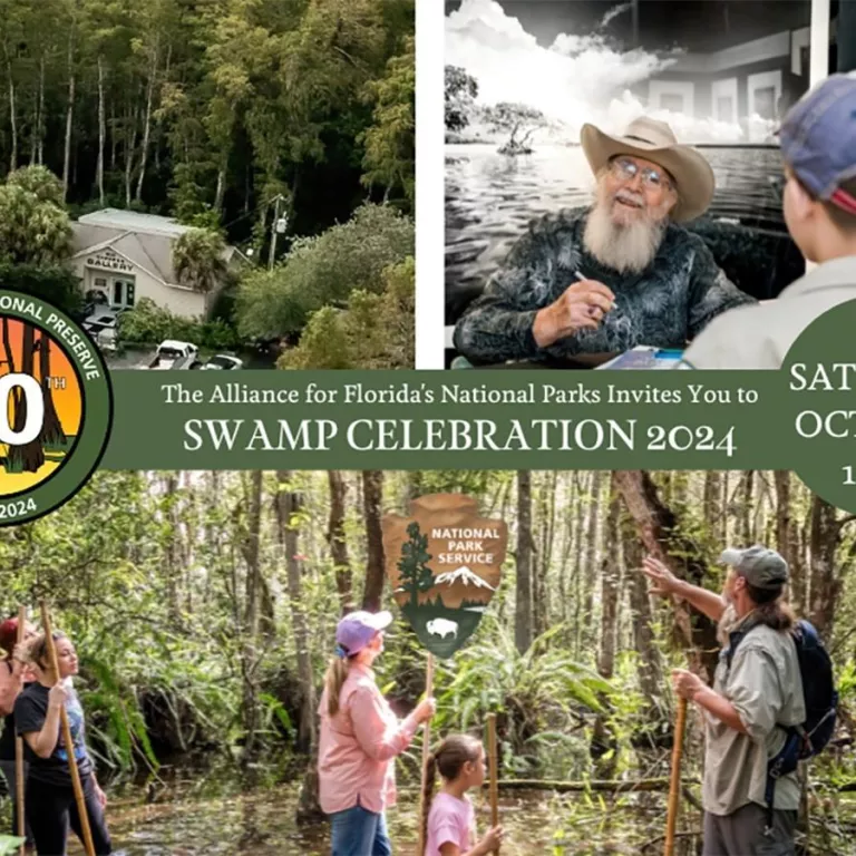 Swamp Celebration promo Photo