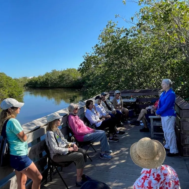 Forest bathing along Henderson Creek at Rookery Bay Environmental Learning Center in Naples Photo