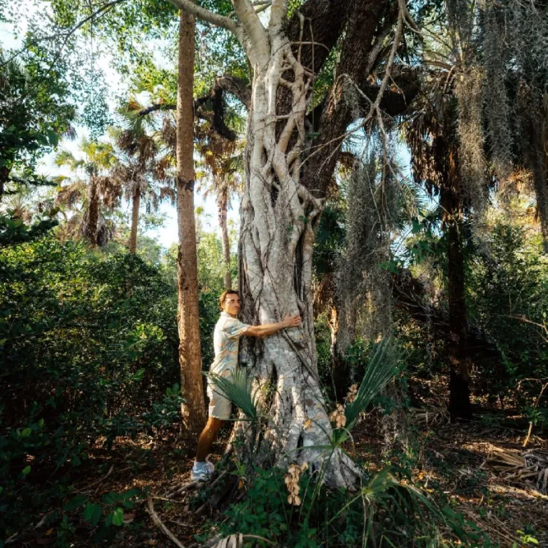 Forest bathing Photo