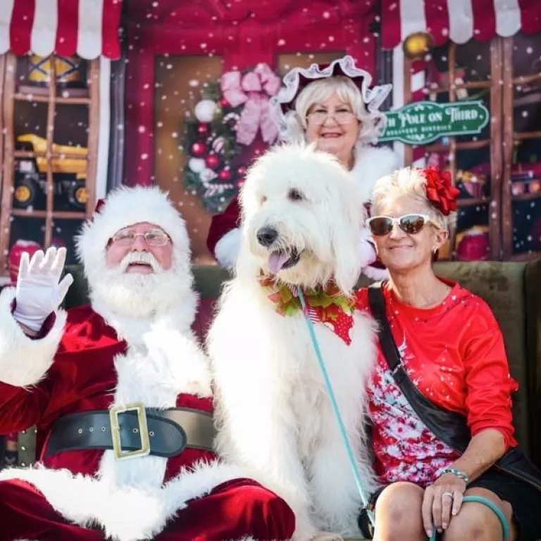 Santa Paws Photo 2