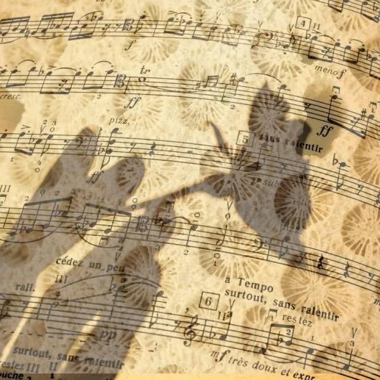 Classical Music and Our Natural World Photo