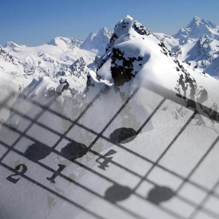 Orchestrating a Balanced Ecosystem Photo