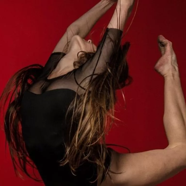 Dance in America Photo
