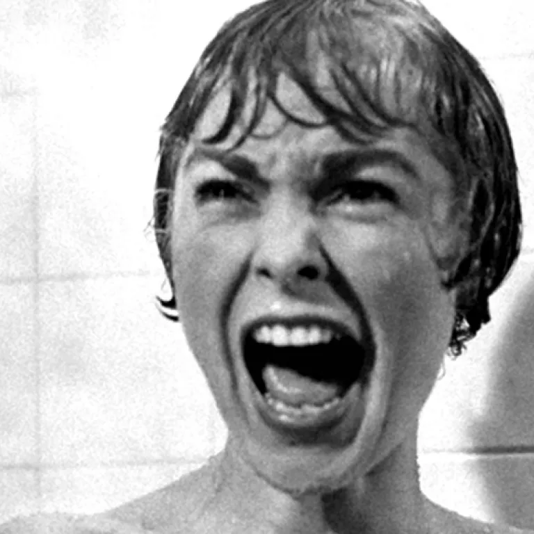 The Language of Film in Psycho Photo