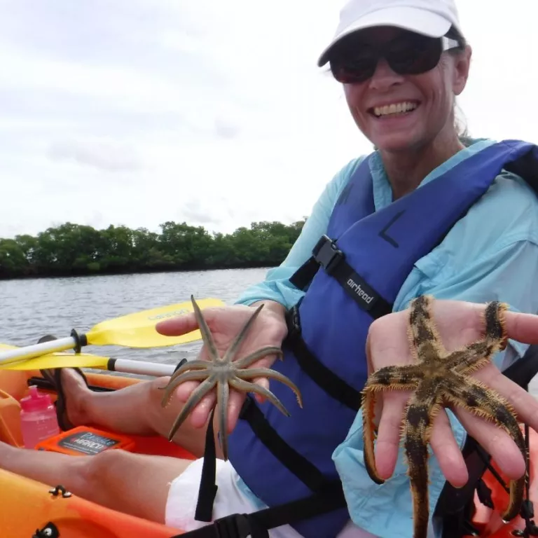 Our explorers discovering multiple species of sea star on our guided kayak excursions! Photo 5